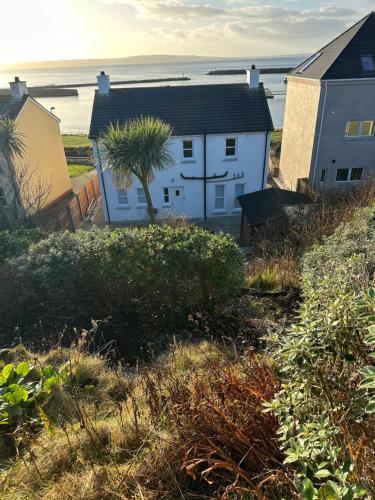 a house with a palm tree in front of the ocean at Church Bay House in Rathlin Island