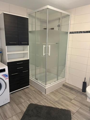 a glass shower in a bathroom with a washing machine at Apartment in Hügelsheim in Hügelsheim