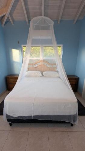 a white bed with a canopy in a room at Caribbean Sea View Cottage in Saint Mary