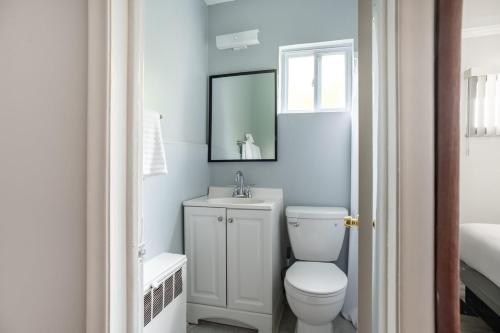 un bagno con un water, un lavandino e uno specchio di Private Room w Bath Kitchen Access in Brownstown a Woodhaven