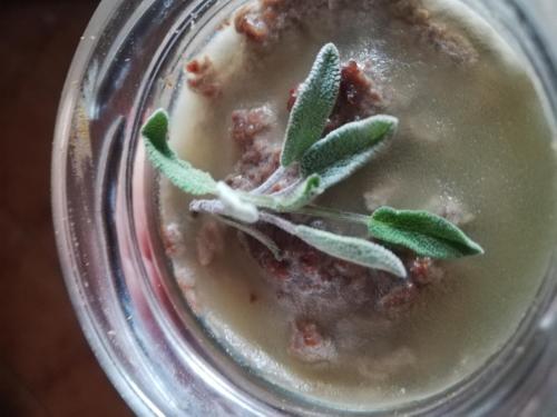 a close up of a drink with a plant in it at Sailor Apartman Balatonlelle in Balatonlelle
