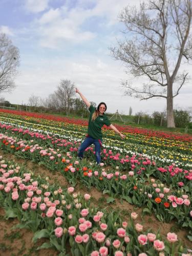 a woman standing in a field of flowers at Sailor Apartman Balatonlelle in Balatonlelle