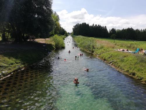 a group of people swimming in a river at Sailor Apartman Balatonlelle in Balatonlelle