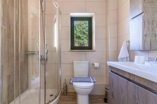 a bathroom with a toilet and a shower and a sink at Vina's Stone House in Limeni