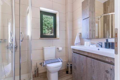 a bathroom with a toilet and a sink and a shower at Vina's Stone House in Limeni