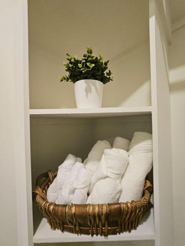 ein Korb mit Handtüchern in einem Schrank mit einer Pflanze in der Unterkunft lavish apartment downtown in Houston
