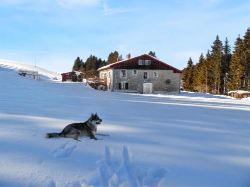 Maison isolée et calme à Septmoncel avec vue sur montagne