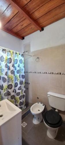 a bathroom with a toilet and a sink at Sapukay in Paraná