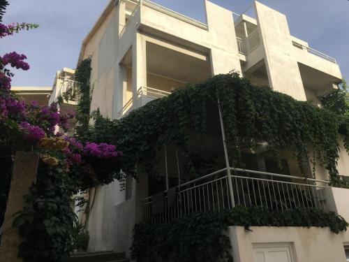 Apartments and rooms by the sea Drasnice, Makarska - 22573