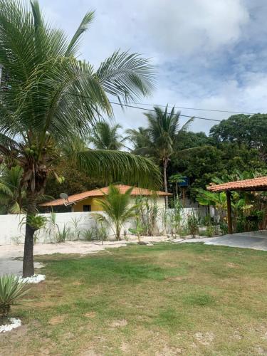 a palm tree in front of a house at Canto Feliz in Prado
