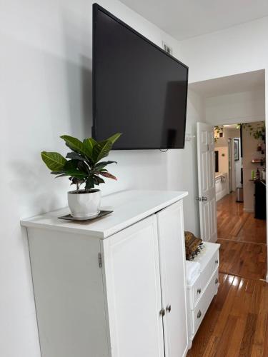 a tv on top of a white cabinet with a potted plant at Dayton Dream in Newark