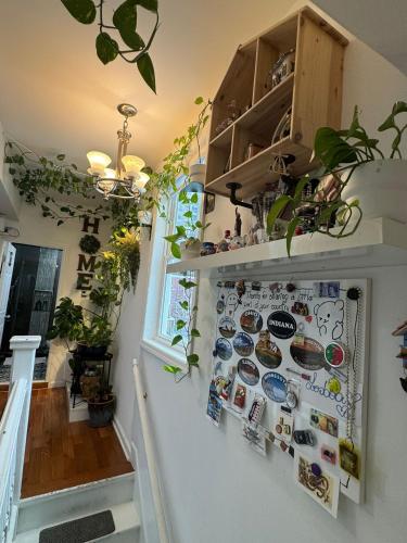 a wall with magnets and plants on it at Dayton Dream in Newark