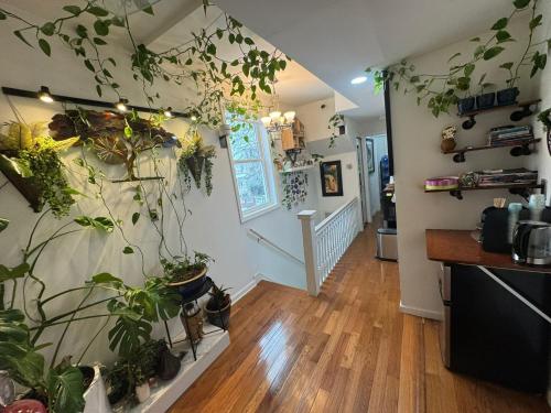 a room with a bunch of plants on the wall at Dayton Dream in Newark