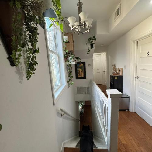 a hallway with a white staircase with plants on the walls at Dayton Dream in Newark