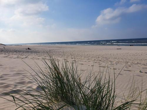 a beach with some grass in the sand and the ocean at House near S owi ski Park and Sandy Beach in Smołdzino