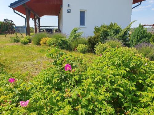 a garden with pink flowers in front of a building at House near S owi ski Park and Sandy Beach in Smołdzino