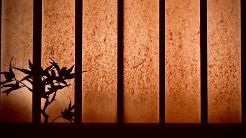 a silhouette of a plant in front of a window at THE KAKU Exclusive suite & Residence in Nara