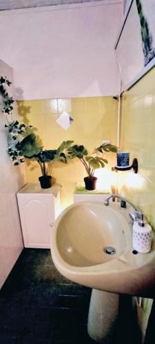 La salle de bains est pourvue d'un lavabo et de plantes en pot sur le mur. dans l'établissement Appartement confortable Pouxeux / 70 m² / superbe jardin, à Pouxeux