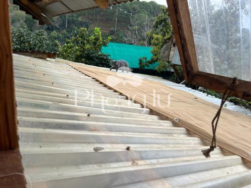 Fotografie z fotogalerie ubytování Phong Lu Homestay Dalat v destinaci Ấp Ða Lợi