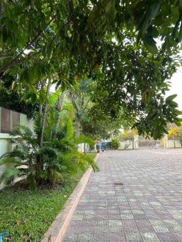 a cobblestone street with trees in a park at Lotus Blanc Homestay Villa in Battambang