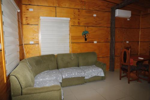 a living room with a couch in a wooden room at Cabañas El Pescador Dalcahue in Dalcahue