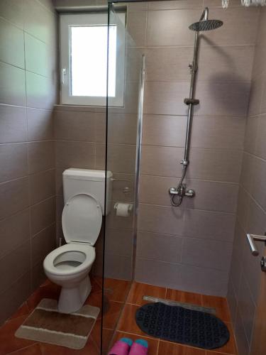 a bathroom with a toilet and a glass shower at Apartman KONAK in Prozor