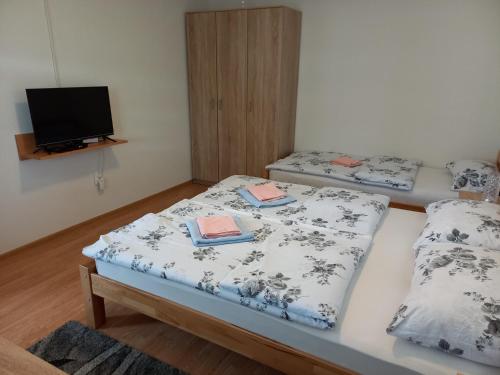 two beds in a room with a flat screen tv at Apartman KONAK in Prozor