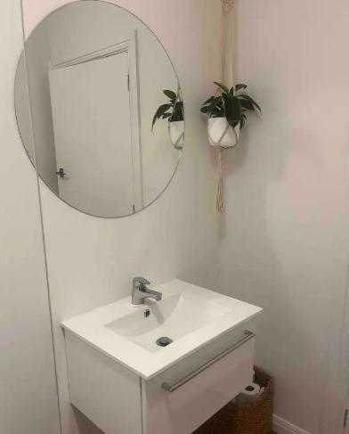 a bathroom with a sink and a mirror and a plant at 10 Nikau Place in Christchurch