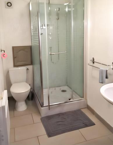 une salle de bain avec une douche, des toilettes et un lavabo dans l'établissement Appartement confortable à Cornimont 30 m² vue montagne, à Cornimont