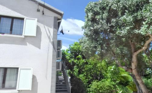 a stairway leading up to a building with trees at Superbe appartement à Petite Île avec vue mer et montagne. in Petite Île