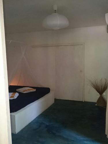 a bedroom with a bed and a potted plant at Vila Engawa Flats in Itacaré