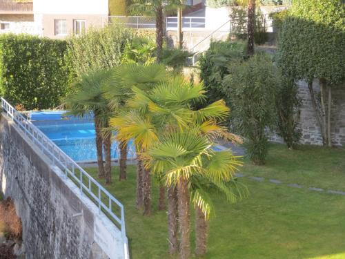 a palm tree in a yard next to a swimming pool at Casa Rabissale in Locarno