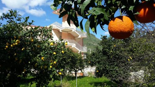 Gallery image of Residence Villa Mare Taormina in Letojanni