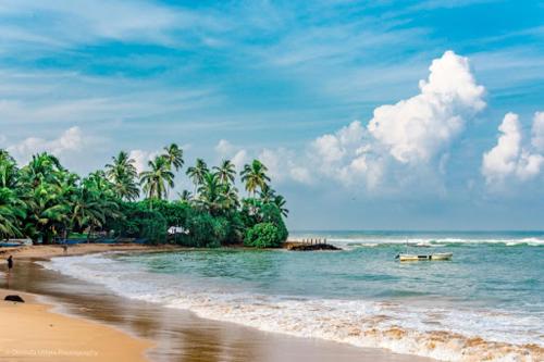 a beach with a group of palm trees and the ocean at Ten30 Hikkaduwa in Hikkaduwa