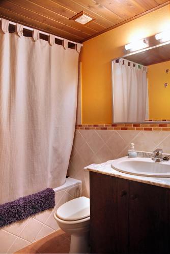 a bathroom with a sink toilet and a mirror at Apartamento La Santeta de Aran in Vielha