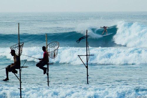 a group of people riding a wave in the ocean at Ten30 Hikkaduwa in Hikkaduwa