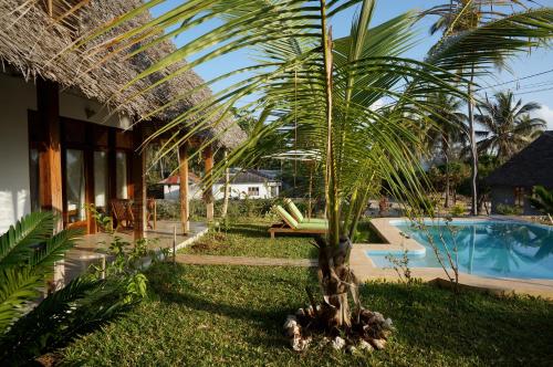 a palm tree in a yard next to a pool at Art Hotel Zanzibar in Jambiani