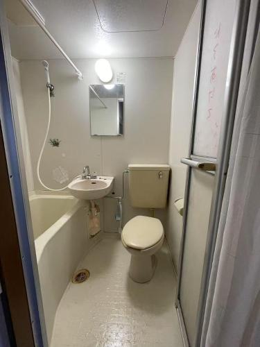a small bathroom with a toilet and a sink at 福島小月 in Niiza