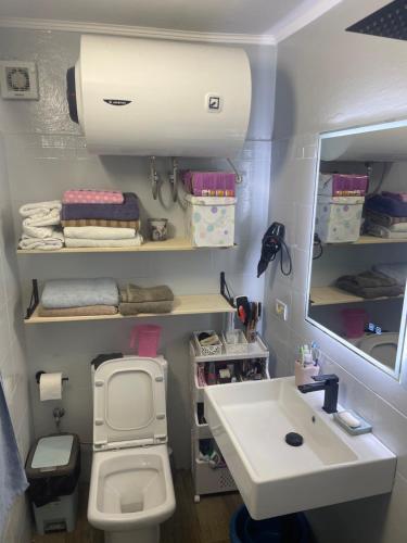 a small bathroom with a toilet and a sink at Sweet Home villa in Tirana