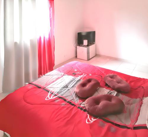 Katil atau katil-katil dalam bilik di Appartement charmant au Tampon de 55 m² avec terrasse