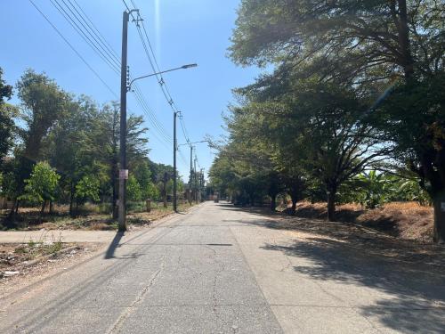 an empty street with trees on both sides of the road at Bann Sawasdee Donmueng- Saimai หลังใหญ่ ฟรี wifi in Ban Sai Mai