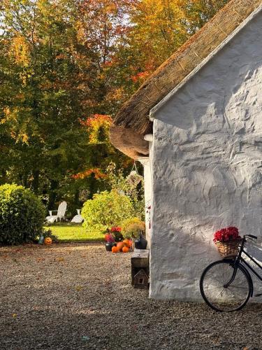 a bike parked next to a building with pumpkins at Keenaghan Cottage Belleek Fermanagh Northern Ireland in Belleek