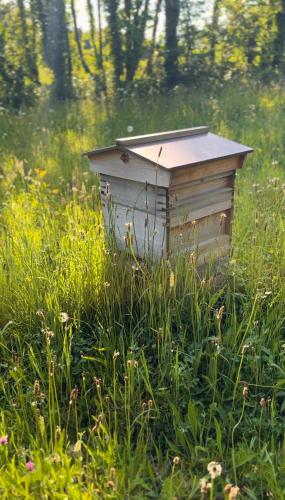 a beehive sitting in the middle of a field of grass at Keenaghan Cottage Belleek Fermanagh Northern Ireland in Belleek