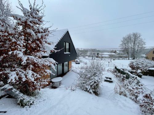 a snow covered yard with a house and a tree at Chez Madeline in Hannut