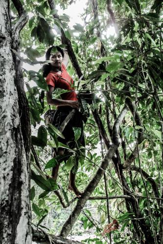 a man is sitting in a tree at Kiao Beach in Anepahan