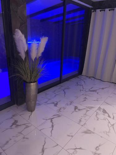 a room with a large window with a potted plant at Beach House in Calhau