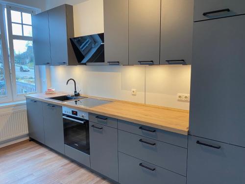 a kitchen with blue cabinets and a sink at Seehaus Plön in Plön