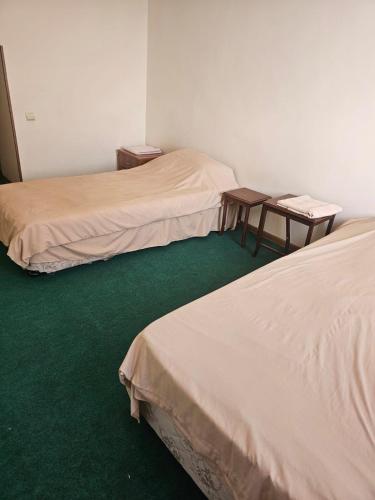 two beds in a room with green carpet at Ayg Hotel and Sport Complex Ararat in Davalinskiy Tsemzavod
