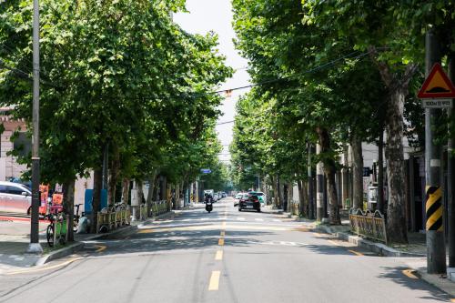 a tree lined street with a motorcycle driving down the street at Local Stitch Creator Town Seogyo in Seoul
