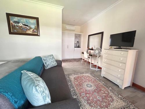 a living room with a couch and a flat screen tv at Mirihof Retreat and Olive Estate in Montagu